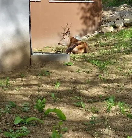 Suterenovy Stary Smokovec Apartment Vysoké Tatry