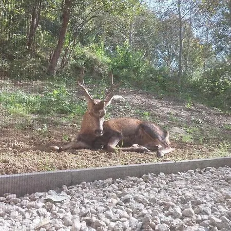 Suterenovy Stary Smokovec * Vysoké Tatry